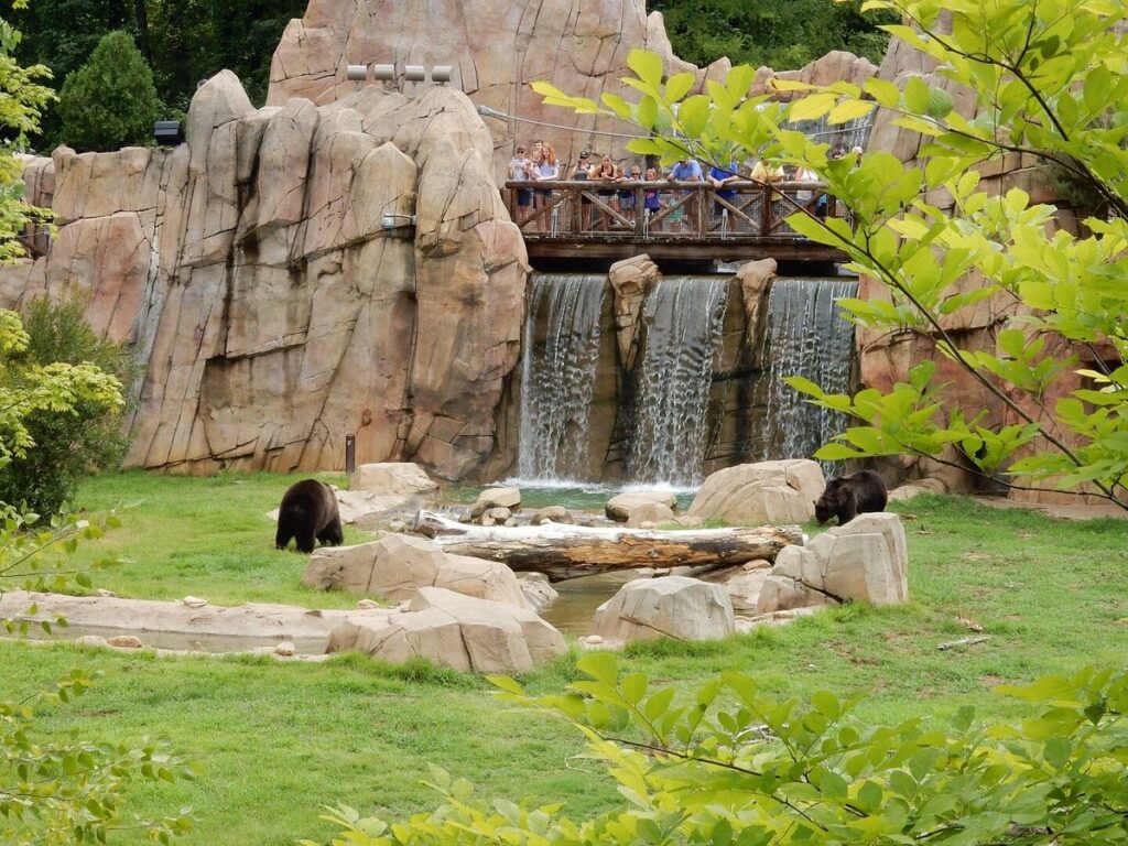 Memphis Zoo